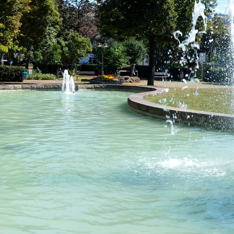 Ein kleiner, ovaler Teich in einem Park, umgeben von Bäumen und historischen Gebäuden im Hintergrund.