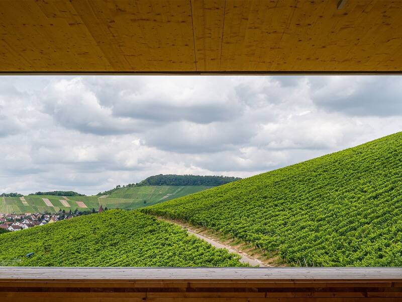 Ein großes Fenster aus einem Holzgebäude blickt auf eine grüne Hügellandschaft mit Weinbergen unter einem bewölkten Himmel.