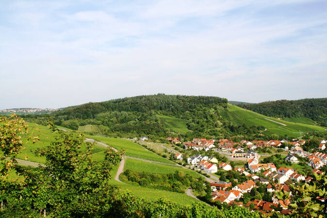 Eine grüne Hügellandschaft mit Weinbergen, durch die sich ein Dorf mit roten Dächern schlängelt, unter einem blauen Himmel.