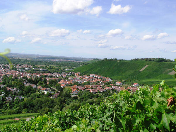 Ein Dorf mit roten Dächern liegt eingebettet zwischen üppig grünen Wäldern und sanften Hügeln unter einem blauen Himmel mit vereinzelten Wolken.